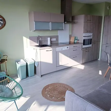 Apartment Avec Terrasse Et Parking Privatif, Proche Commerces - Fr-1-675-28